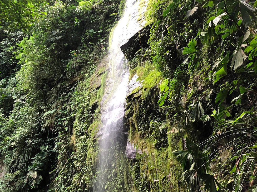 El Canto Waterfall景点图片