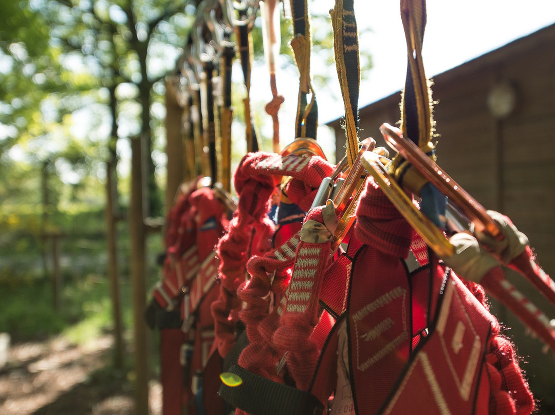 Tepacap Vendee-Mesnard-la-Barotiere必去景点