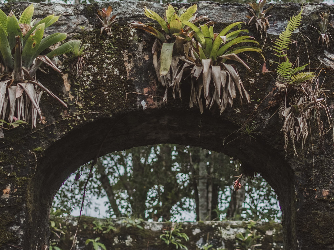 Morro da Baleia-Ilha do Mel必去景点