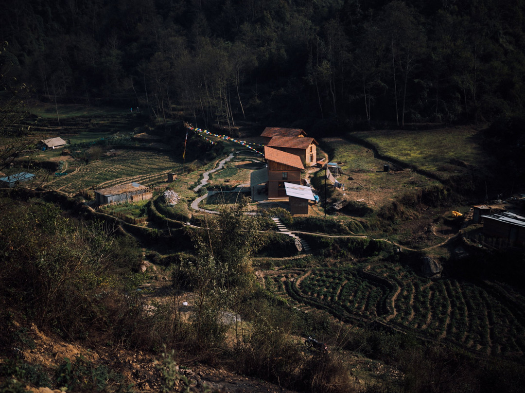 The Farm Stays at Herb Nepal主图