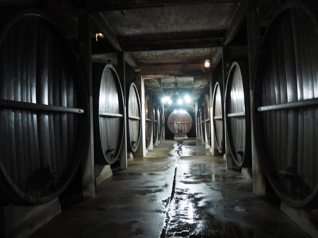 Bodega Santa Rosa-蒙得维的亚必去景点