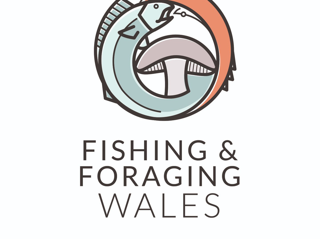 Fishing and Foraging Wales景点图片