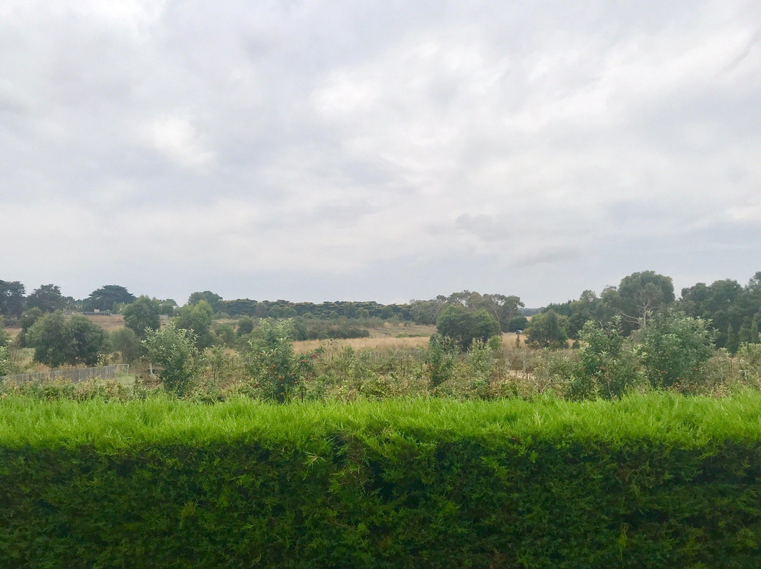 Ravens Creek Farm景点图片