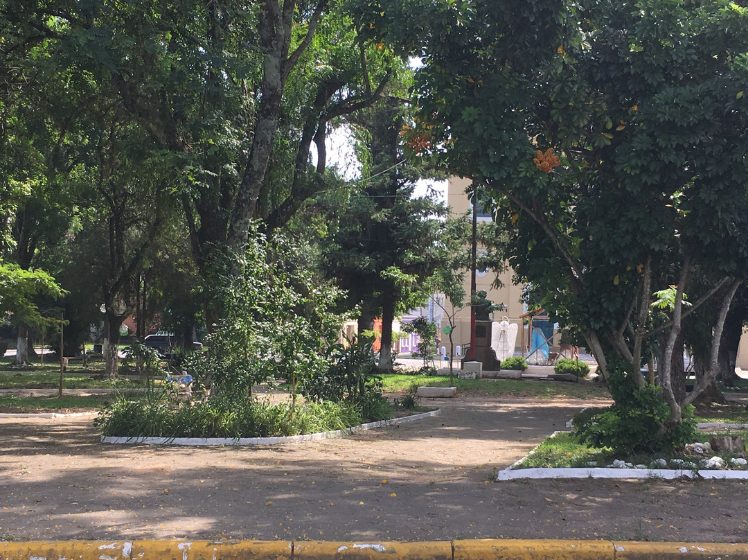 Praca Protasio Alves景点图片