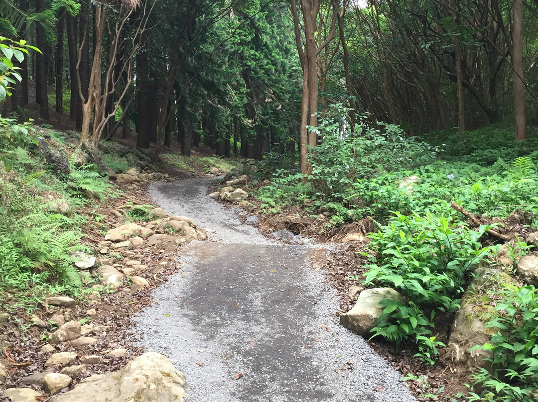 Waiheʻe Ridge Trail-Waihee必去景点