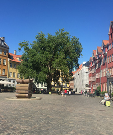 Gråbrødretorv景点门票图片