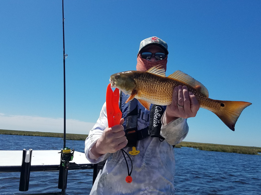 Mosquito Lagoon Fishing & Eco-Tours-Oak Hill必去景点
