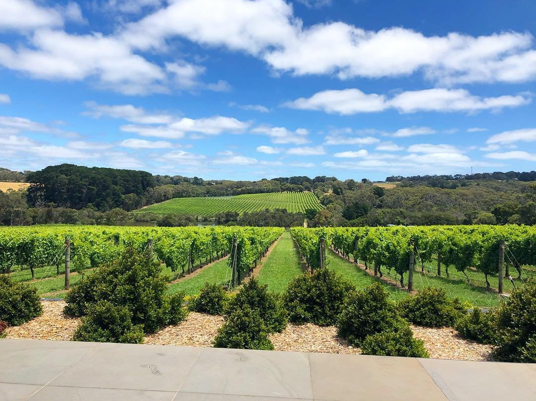 Jackalope Hotel主图