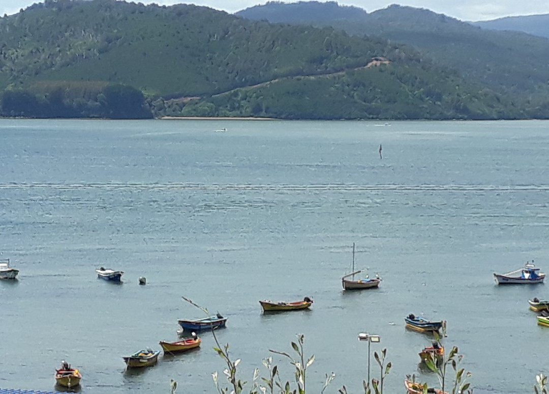 Playa Grande-Niebla必去景点