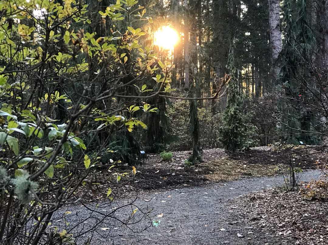 Lake Wilderness Arboretum-Maple Valley必去景点