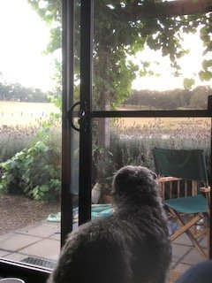 The Hide at Mt Franklin主图