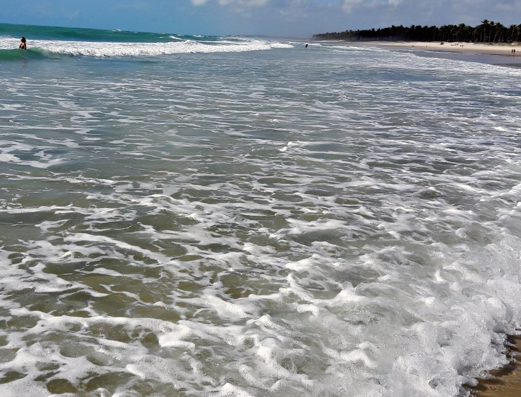 Praia do Francês-Praia do Frances必去景点