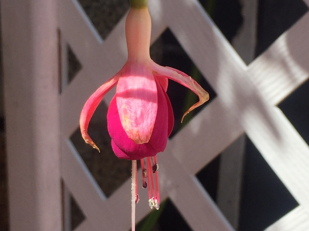 Bed & Breakfast Lezaeta主图