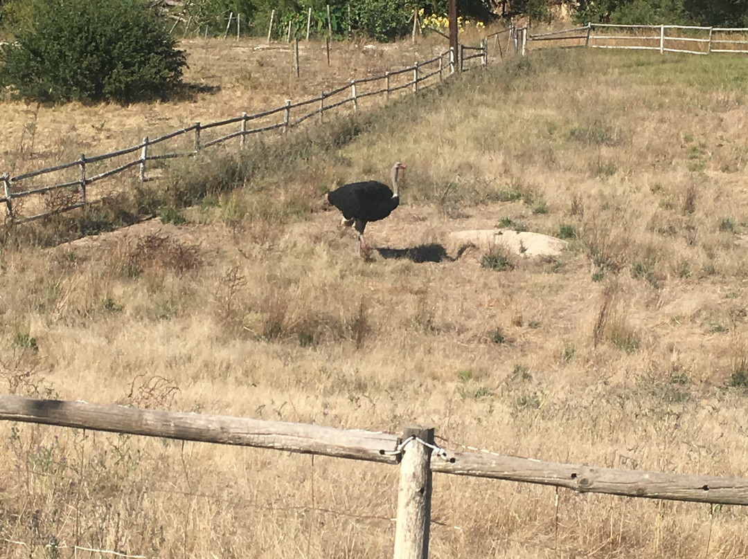 Oude Wellington Estate主图