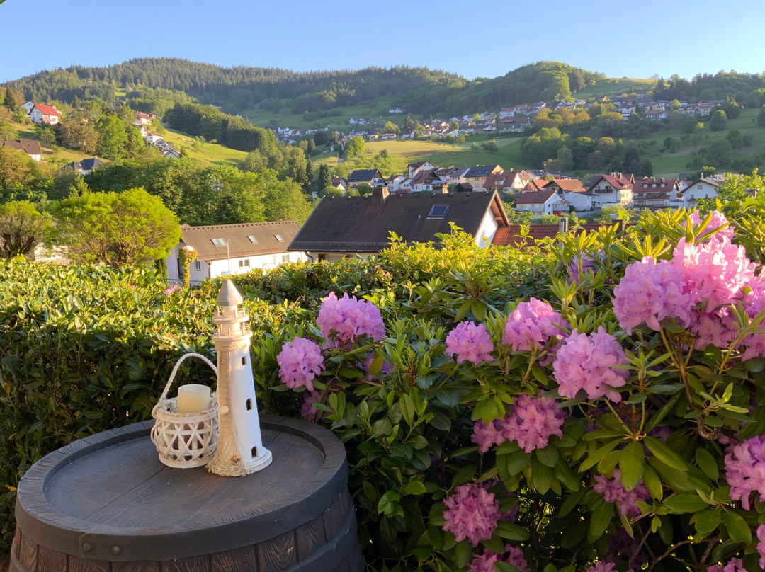 Buehlertal餐馆和美食-Restaurant SchwarzwaldMadel