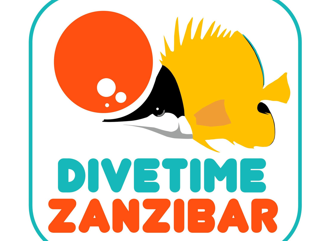 Dive Time Zanzibar-Kizimkazi必去景点