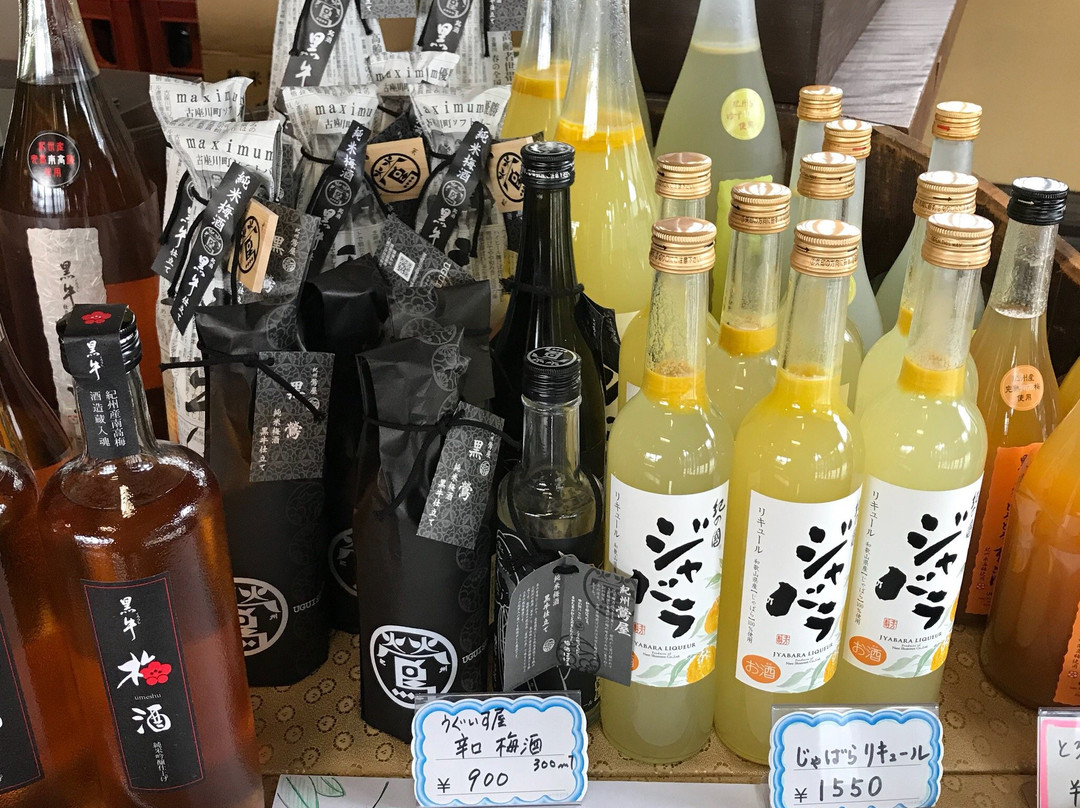 Onko Denshokan-海南市必去景点