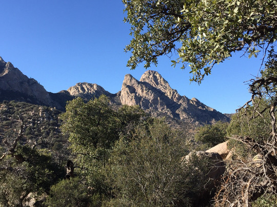 Aguirre Spring National Recreation Area-Organ必去景点