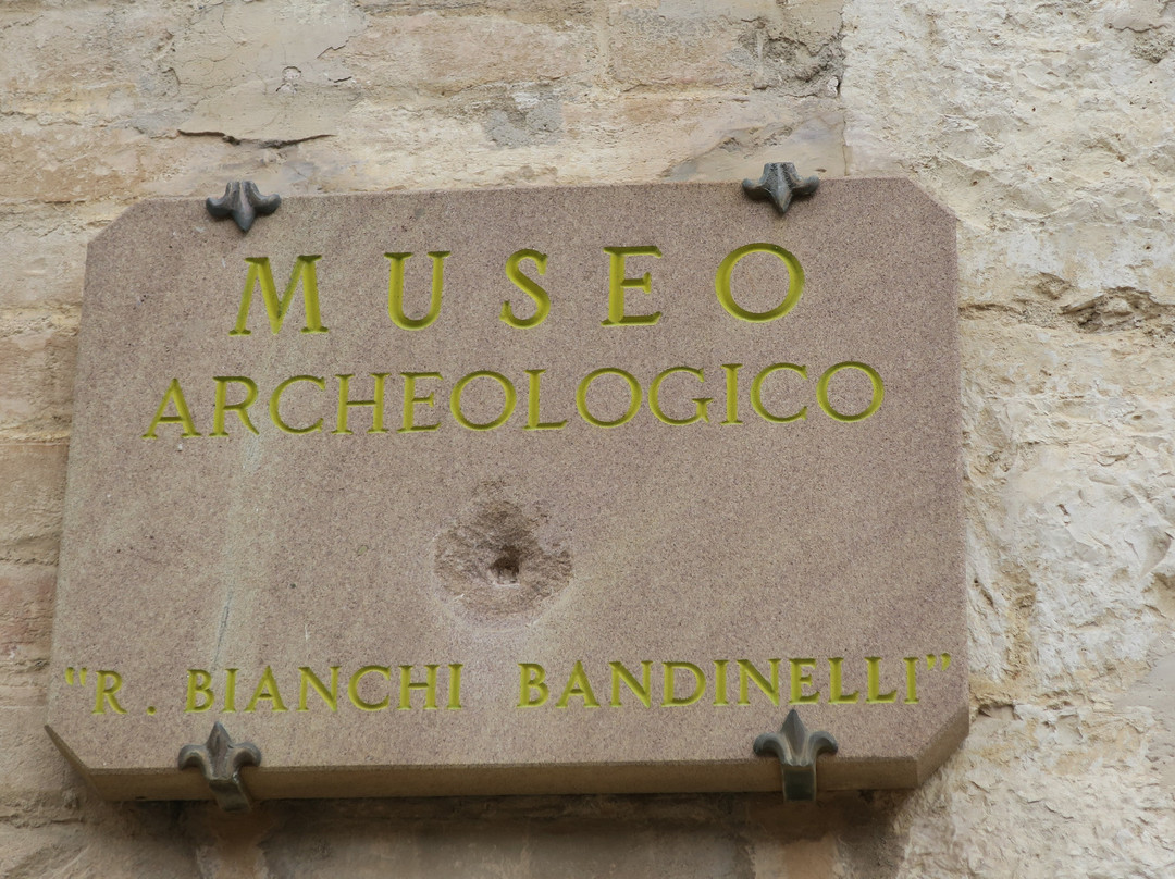 Archeological Museum Ranuccio Bianchi Bandinelli景点图片