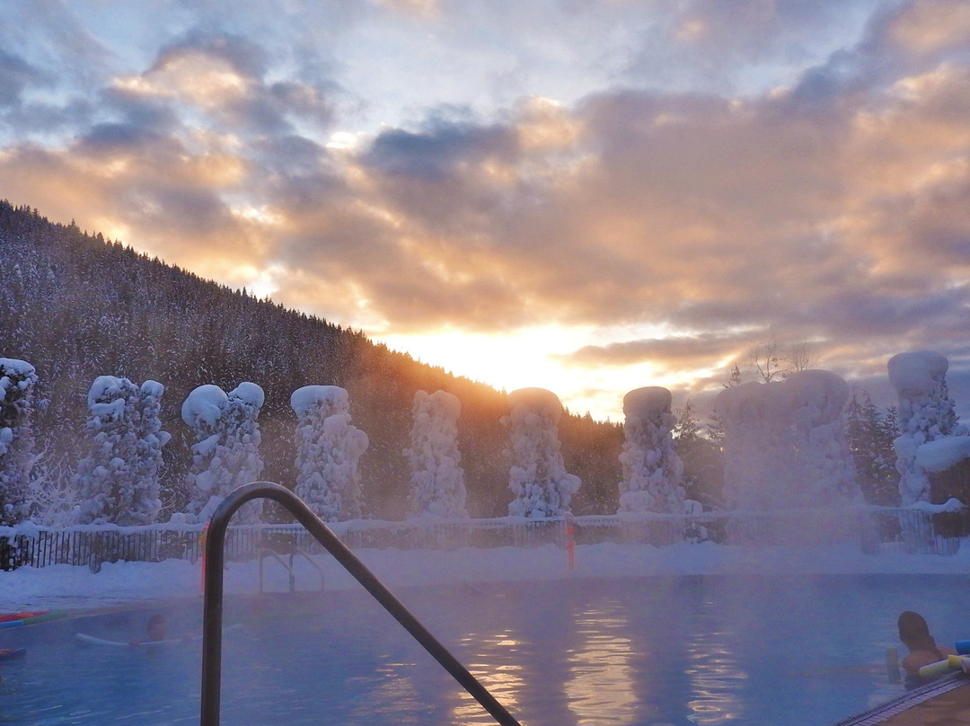 Nakusp Hot Springs Cedar Chalets主图