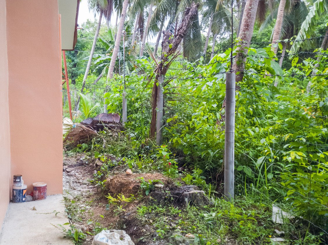 James Homestay主图