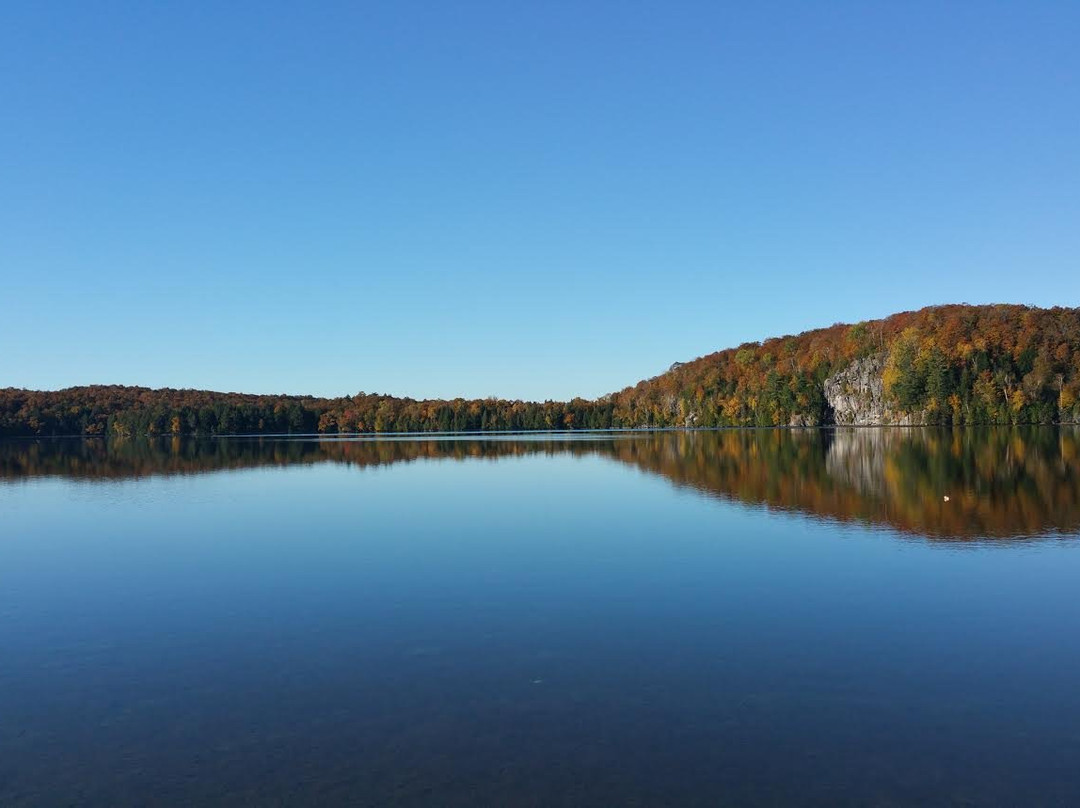 Limberlost Forest & Wildlife Reserve-亨茨维尔必去景点