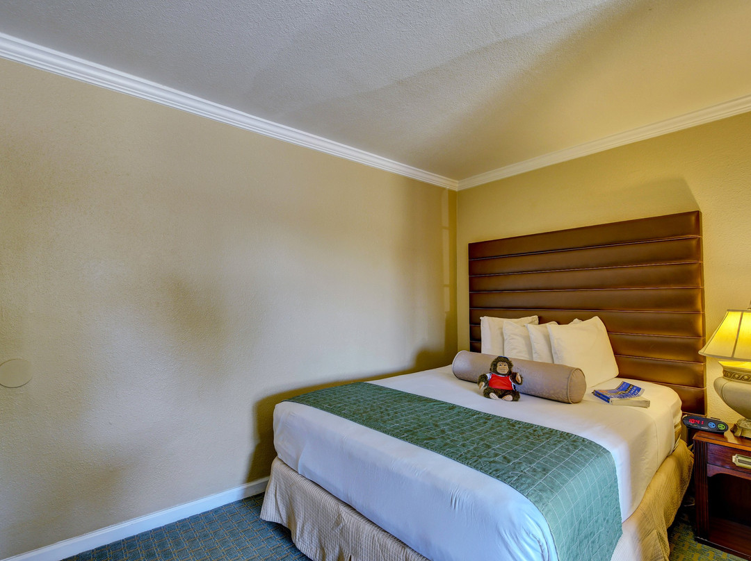 旅行者酒店主图