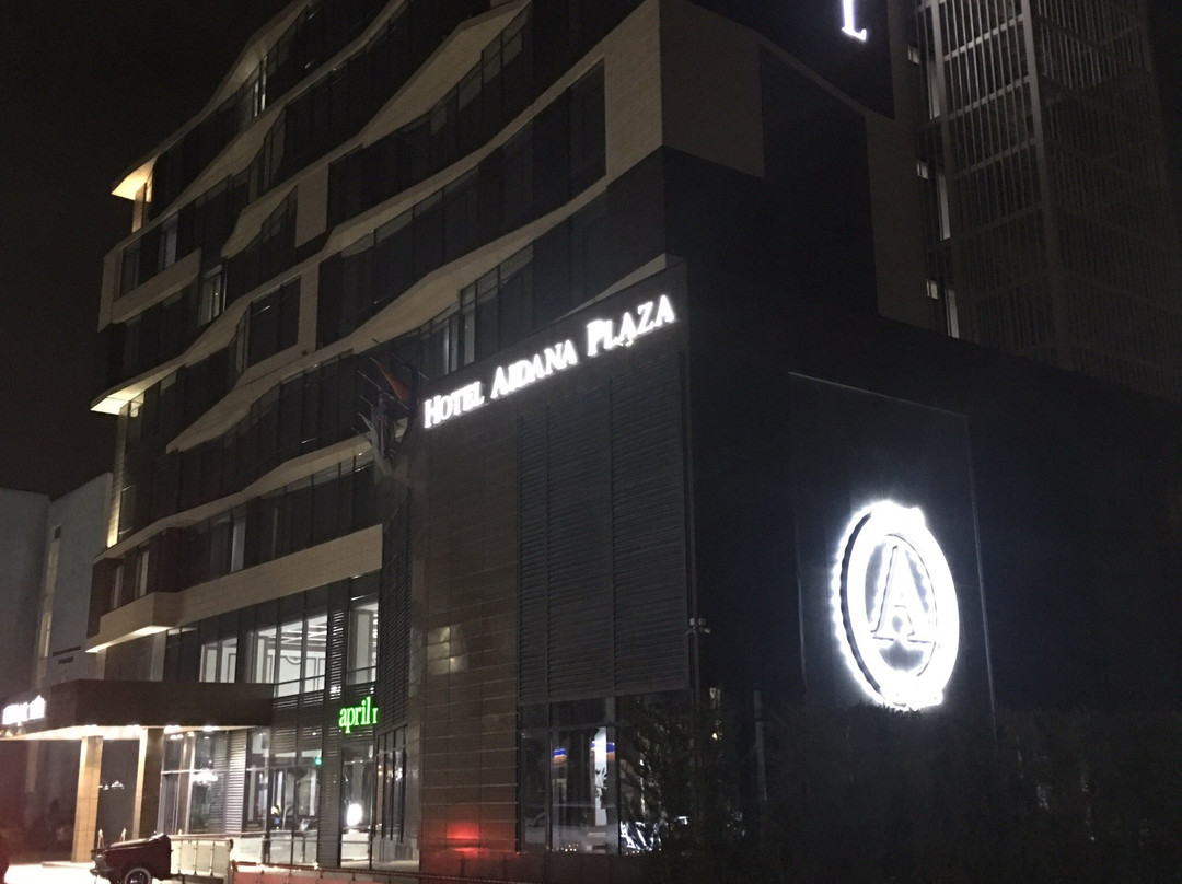 Aidana Plaza Hotel主图