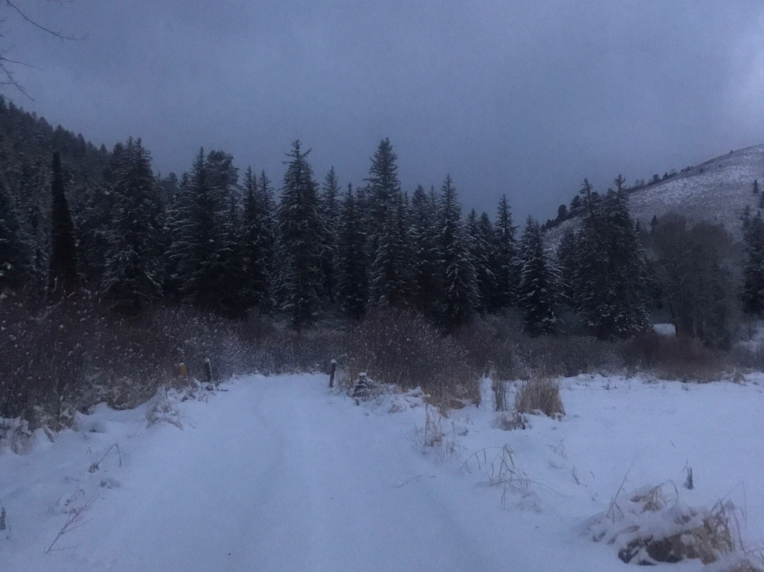 Dog Creek Trail-杰克逊必去景点