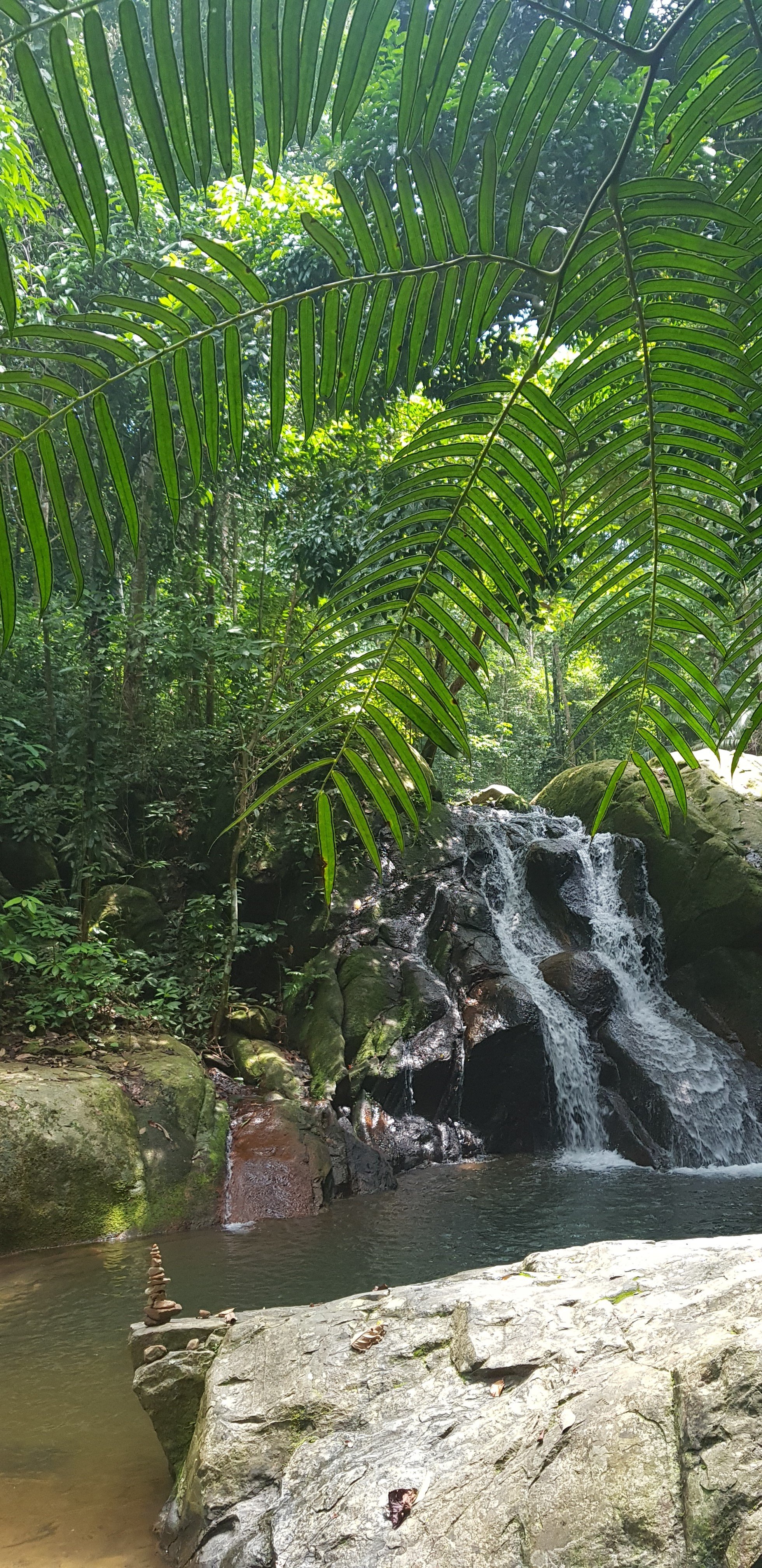 Juara Lagoon-portrait