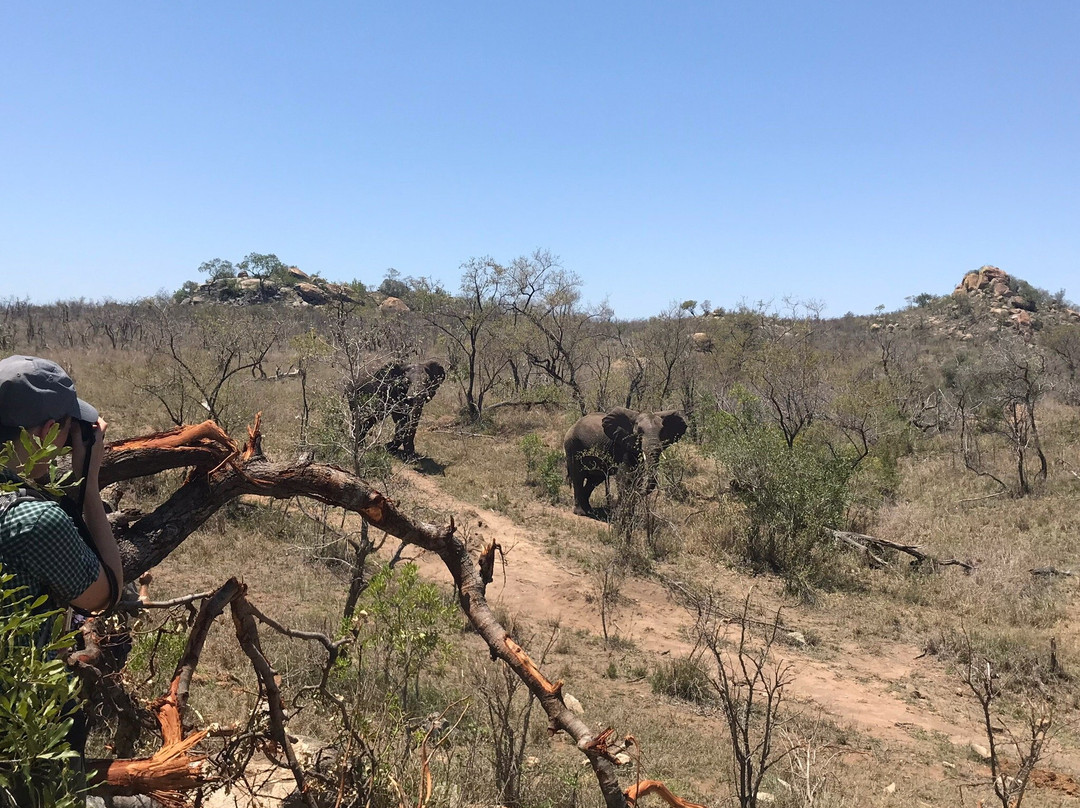 Bushmans Trail-克鲁格国家公园必去景点
