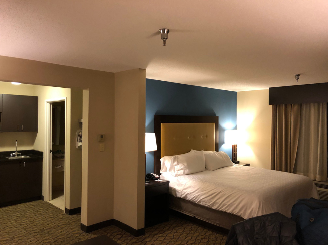 奥本酒店住宿-Holiday Inn Express & Suites Auburn - University Area by IHG