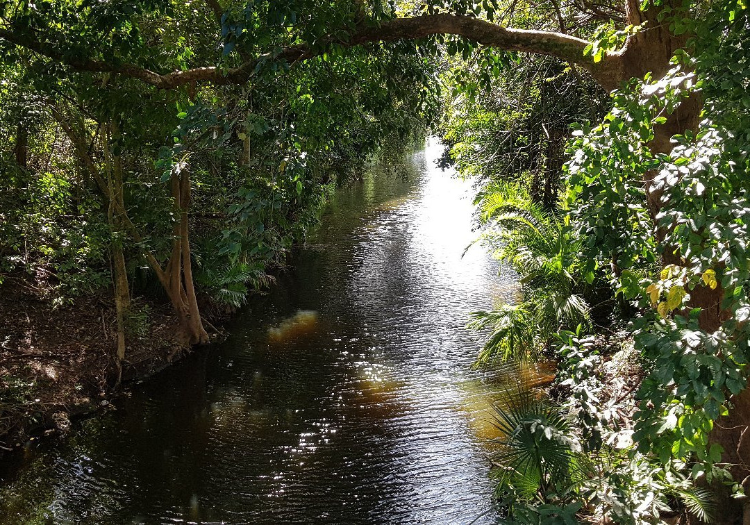 Bar-B-Ranch-戴维必去景点
