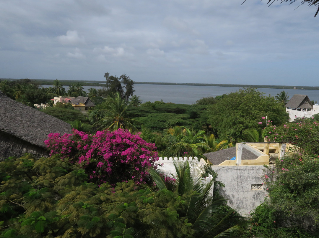 Banana House & Wellness Centre主图