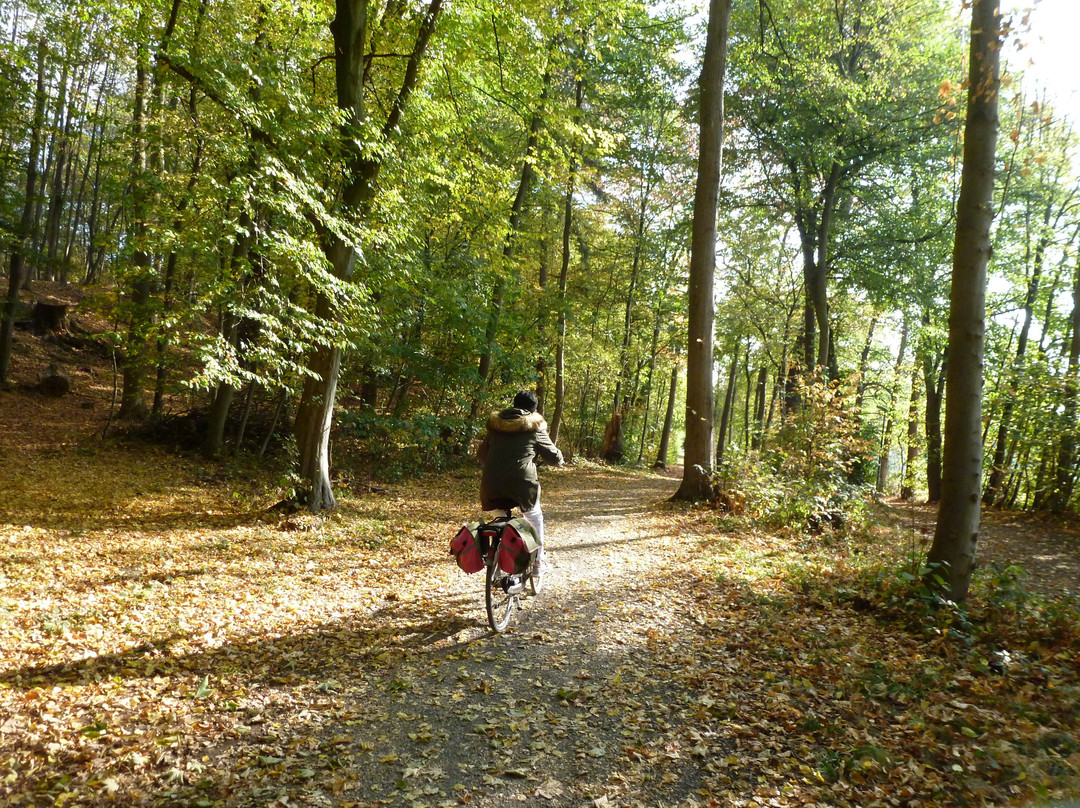 Ruhrtalradweg-Winterberg必去景点