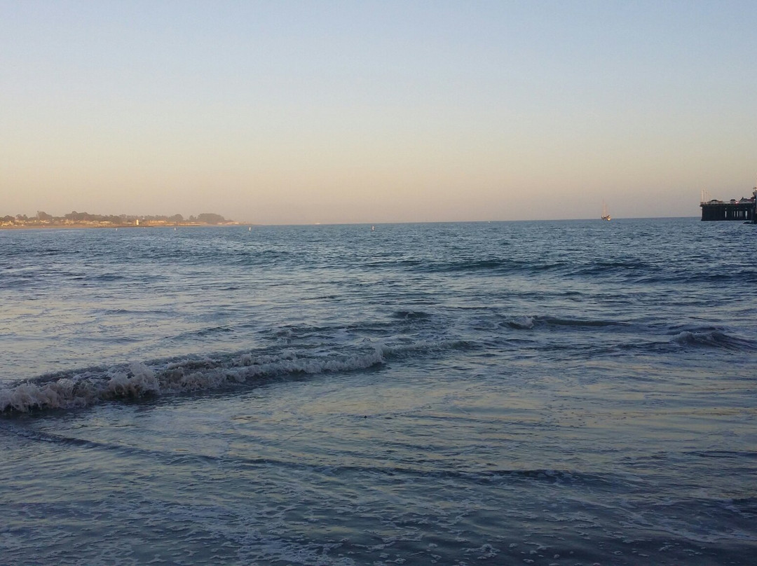 Cowell's Beach-圣克鲁斯必去景点