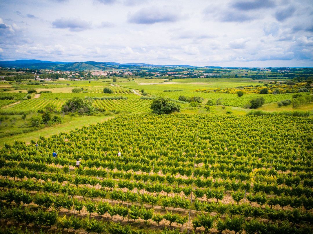 Domaine de l'Arjolle-Pouzolles必去景点