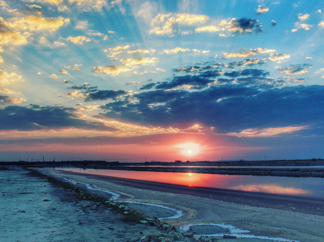 Dantri酒店住宿-The Sambhar Heritage And Resort