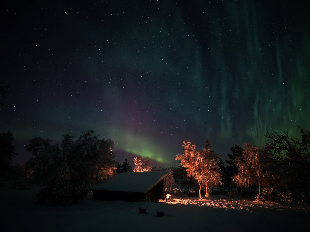 Arctic Sky