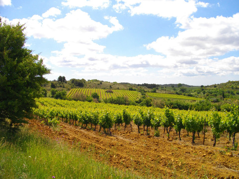 Castelnau-de-Guers旅游攻略图片