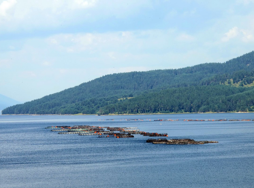 Dospat Dam-Dospat必去景点