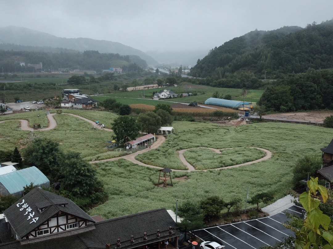 Lee Hyo-Seok Memorial Hall-平昌郡必去景点