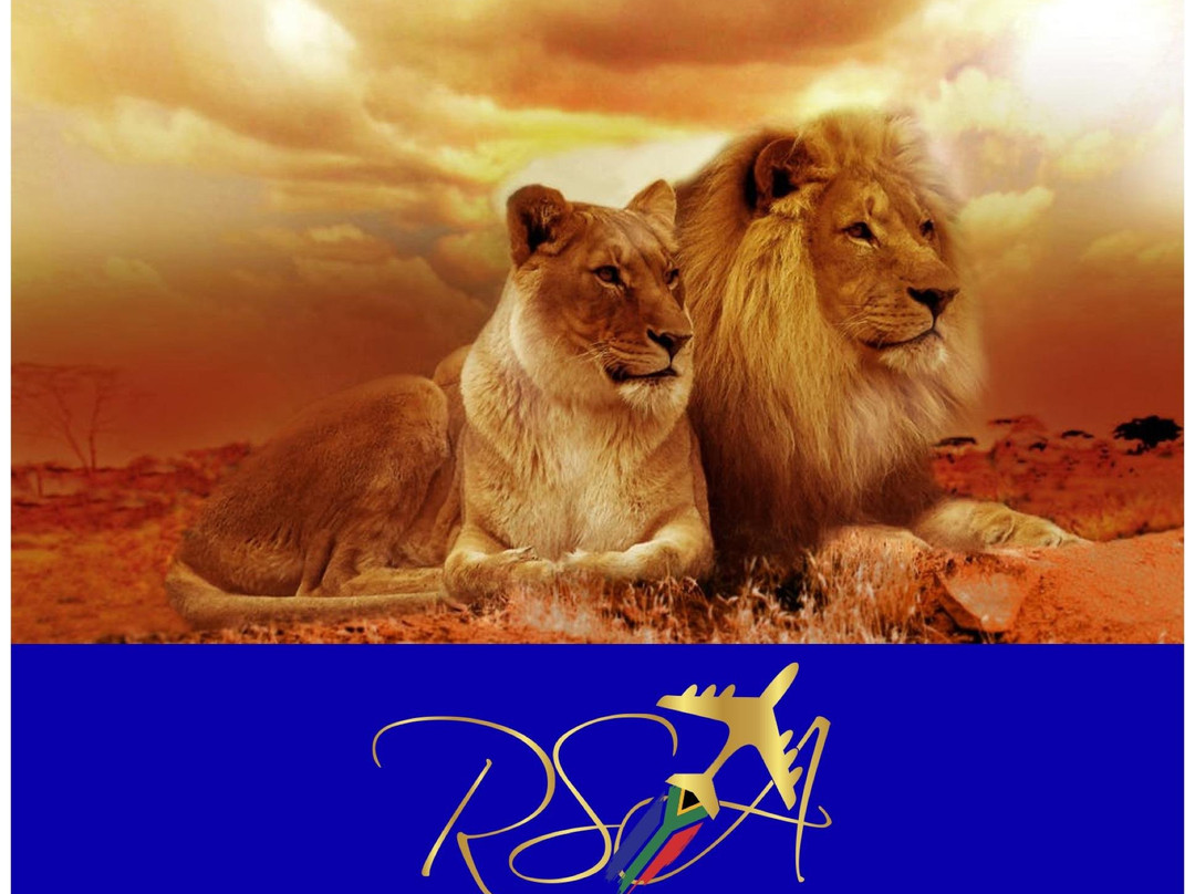 The Real South Africa-约翰内斯堡必去景点