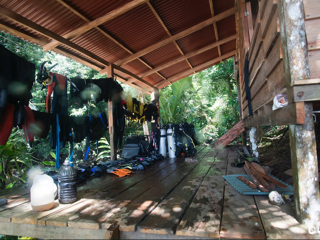 Colombia Underwater Expeditions-Arusi必去景点