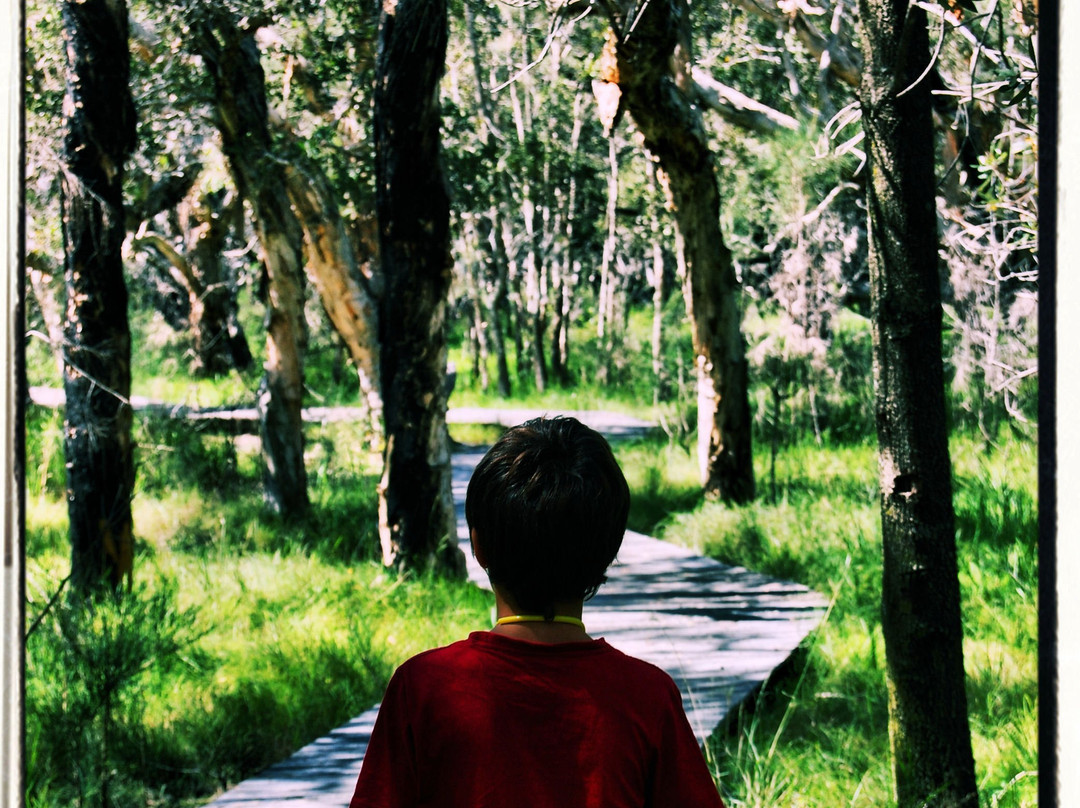 Yarrawarra Aboriginal Cultural Centre-Corindi必去景点