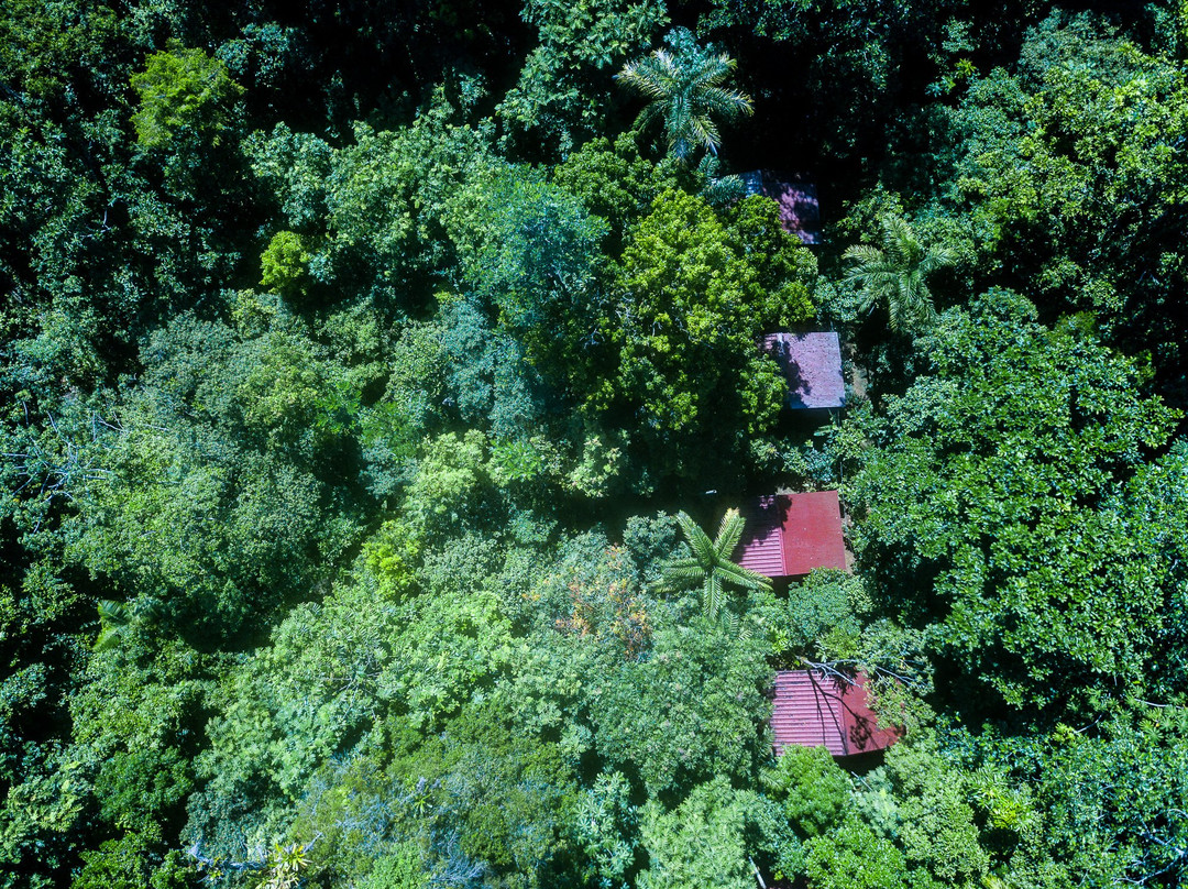 Yatama Ecolodge Sarapiqui