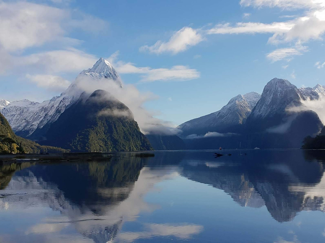 Kiwi Scenic Tours景点图片