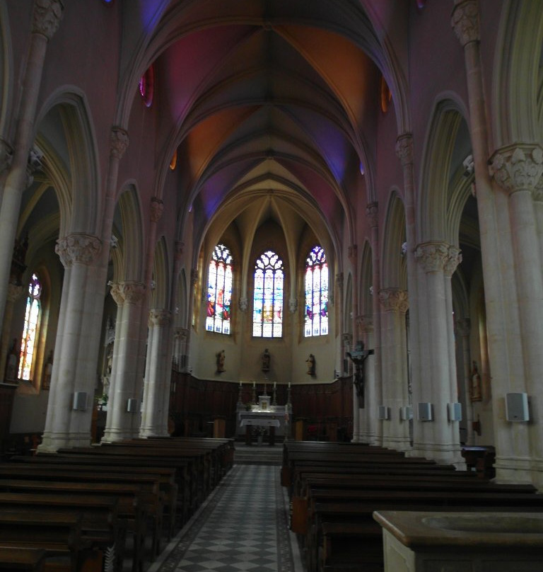 Eglise Saint Vincent des Pierres Dorees景点图片