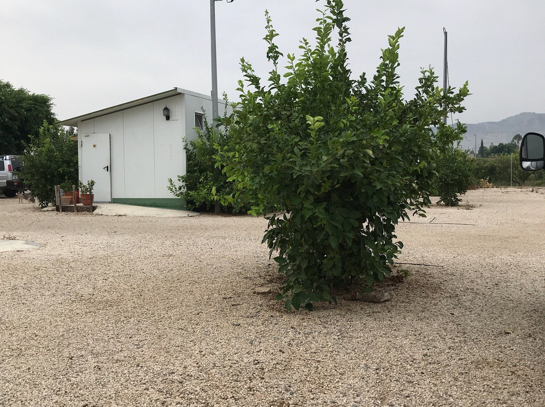 Camper Park Huerta de Murcia