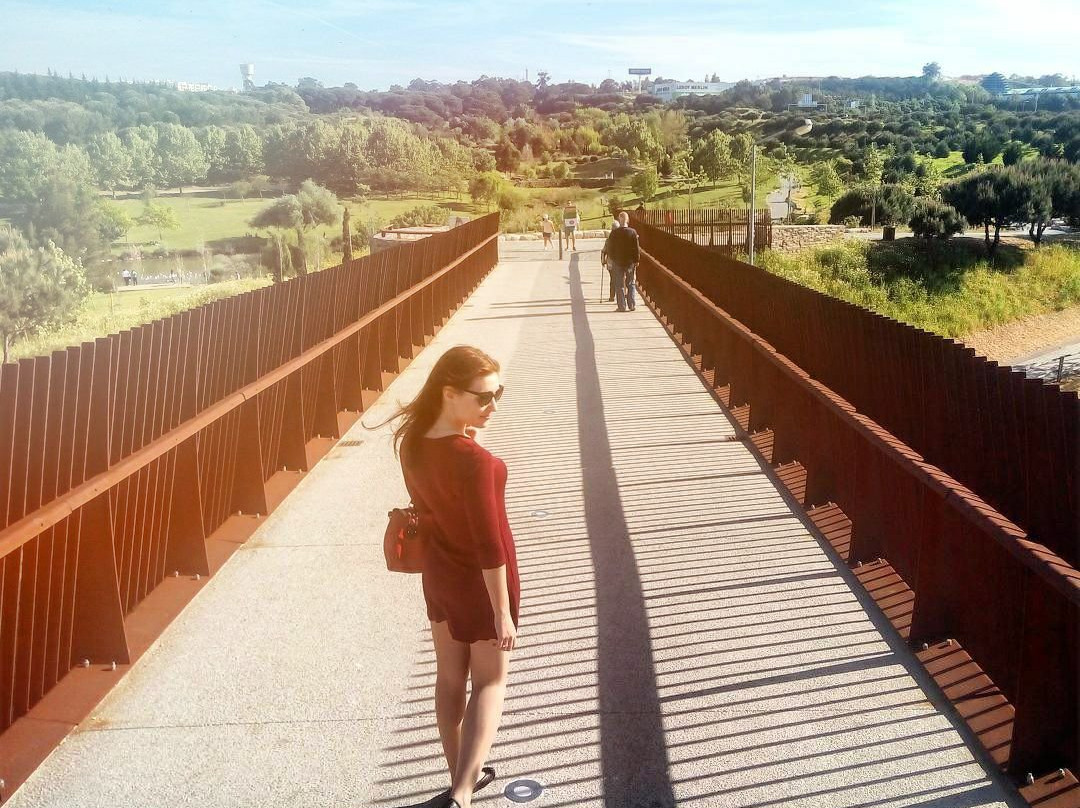 Parque da Paz景点图片